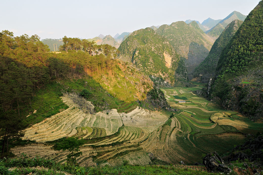 Culture en terrasses et montagnes près de Dong Van, Vietnam