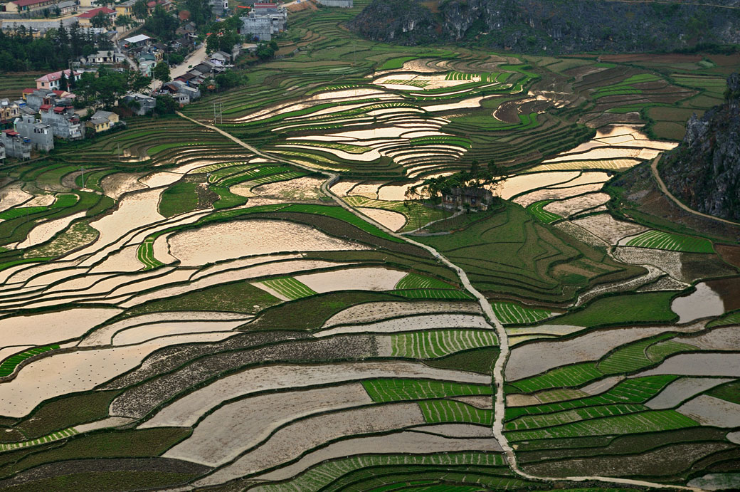 Rizières depuis la forteresse de Pu Lo à Dong Van, Vietnam