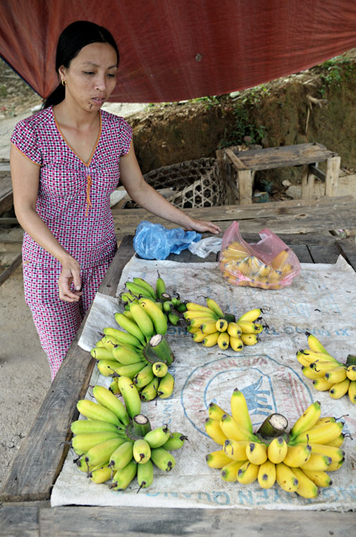 Vendeuse de bananes au bord de la route, Vietnam