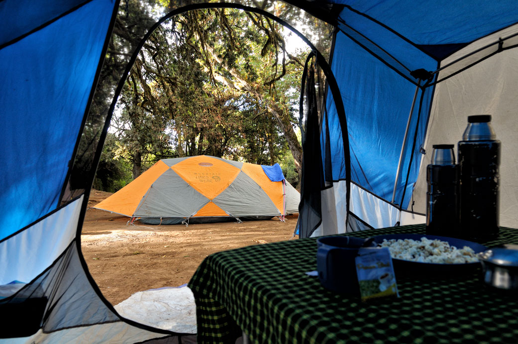 Tentes à Forest camp sur le Kilimandjaro, Tanzanie