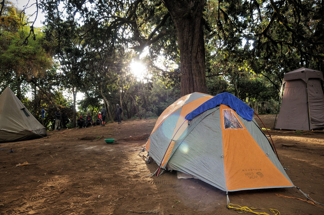 Bivouac de Forest camp au petit matin, Tanzanie