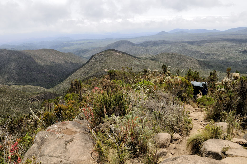 Les pentes inférieures du Kilimandjaro, Tanzanie