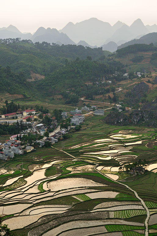 Montagnes et rizières à Dong Van, Vietnam