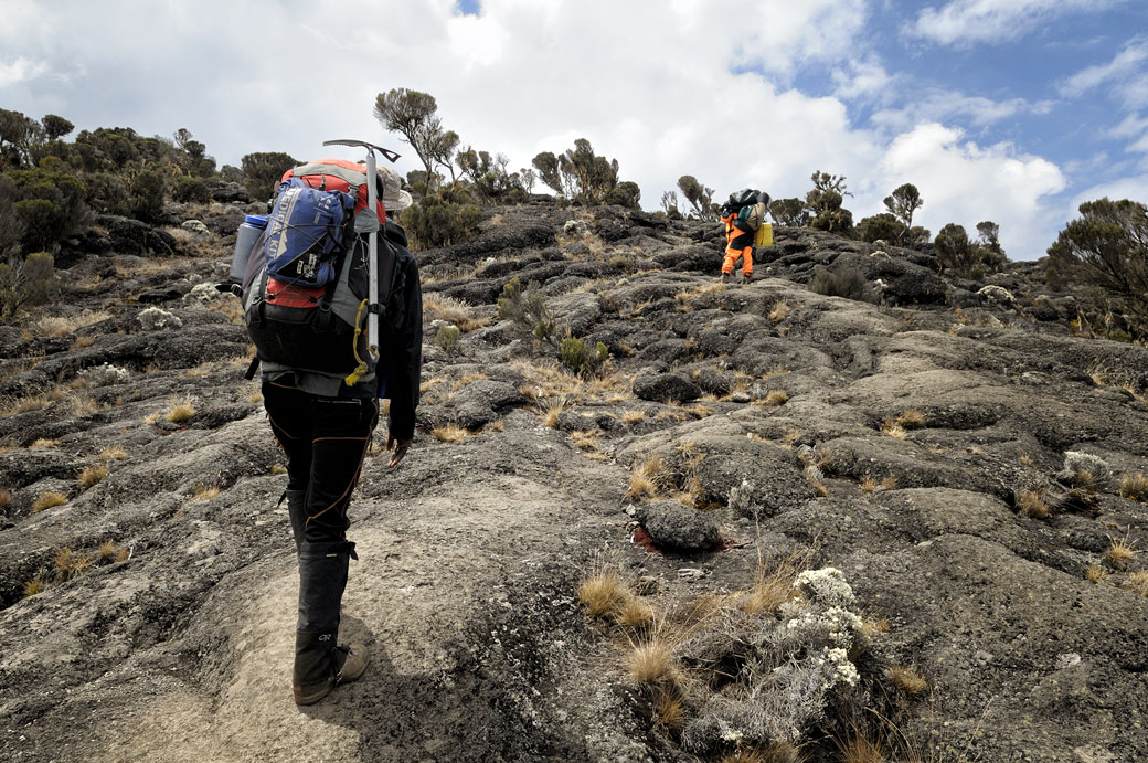 Guide et porteur en route pour Moir Hut camp sur le Kilimandjaro