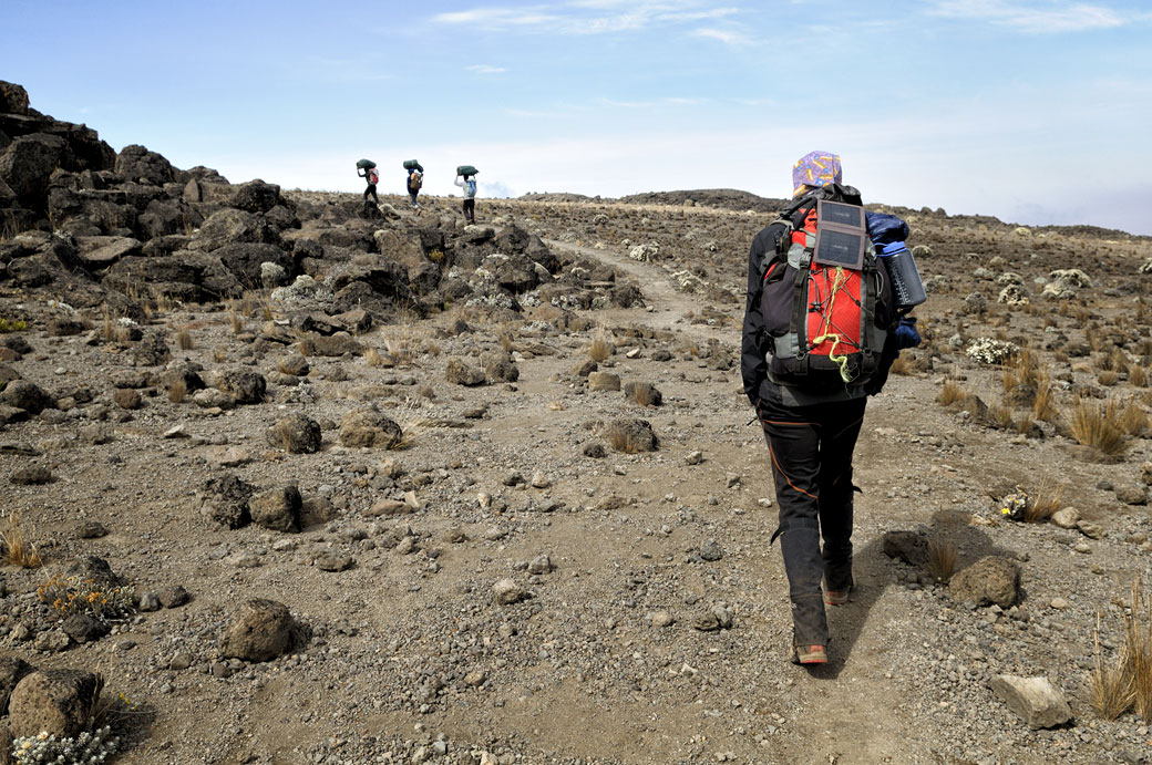 Guide et porteurs en route pour Lava Tower Camp, Tanzanie