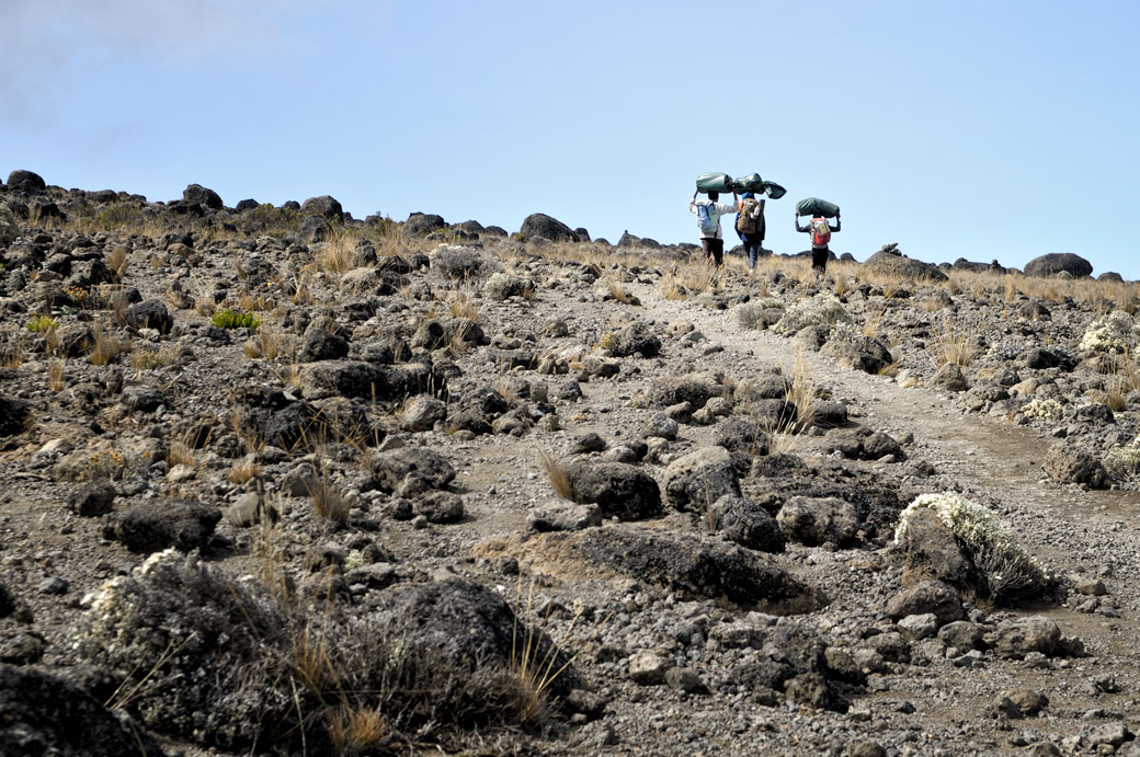 Trois porteurs en route pour Lava Tower Camp, Tanzanie