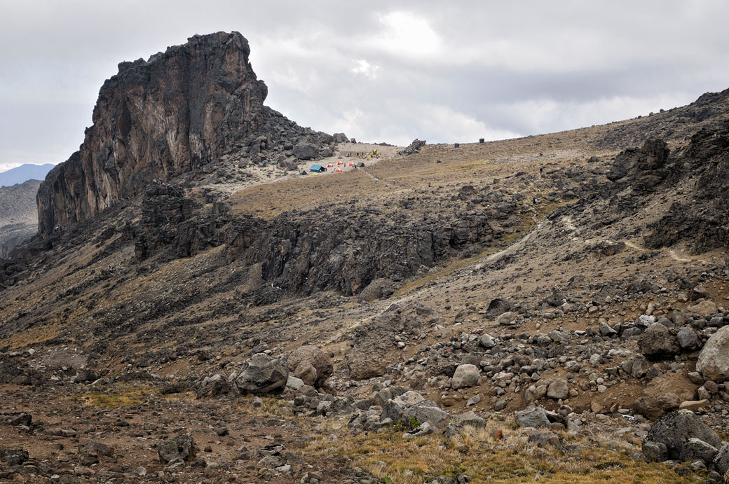 Paysage volcanique près de Lava Tower Camp sur le Kilimandjaro, Tanzanie