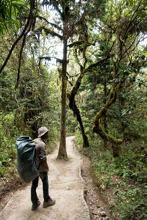 Godfrey dans la forêt lors de la descente de Mweka, Tanzanie