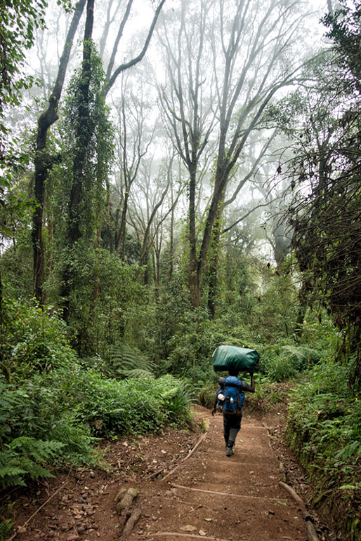 Porteur dans la forêt lors de la descente du Kilimandjaro, Tanzanie