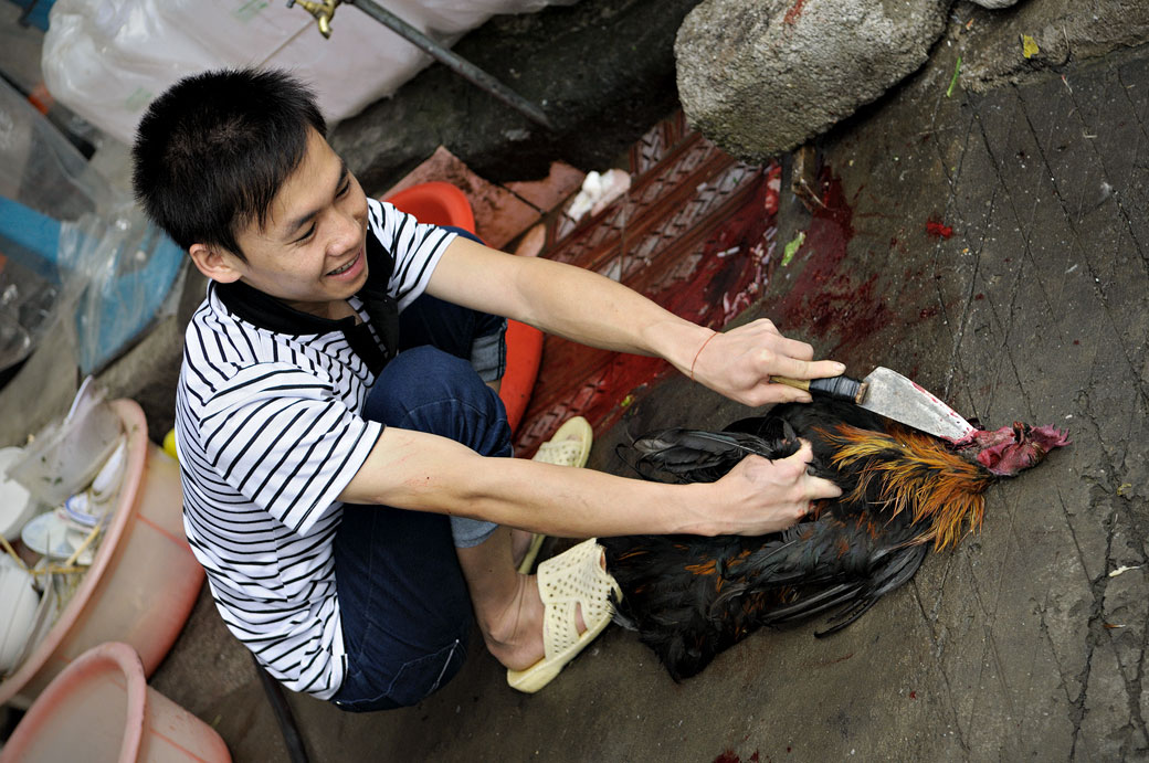 Jeune homme qui tue un poulet au marché de Meo Vac, Vietnam