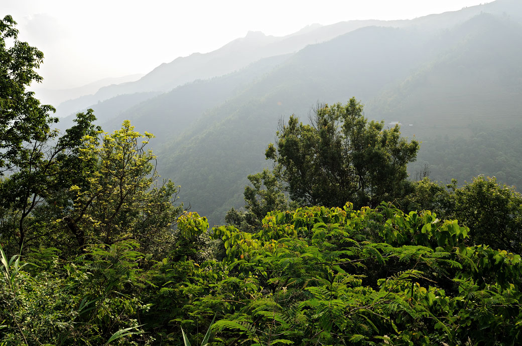 Montagnes verdoyantes au nord du pays, Vietnam