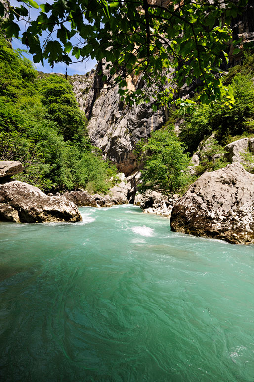 Au bord de la rivière dans les Gorges du Verdon, France