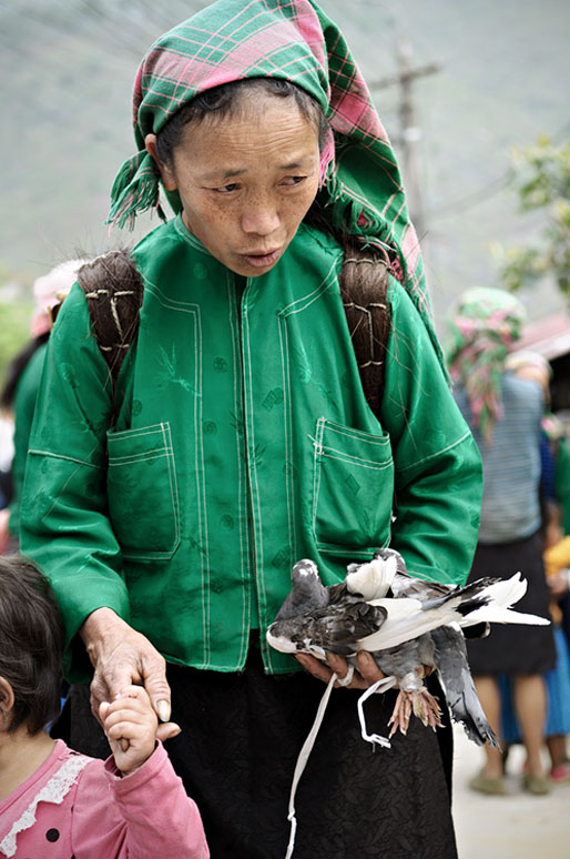 Femme qui tient un pigeon au marché de Meo Vac, Vietnam