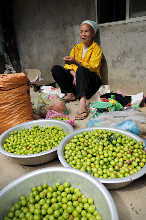 Vendeuse de fruits au nord du pays, Vietnam