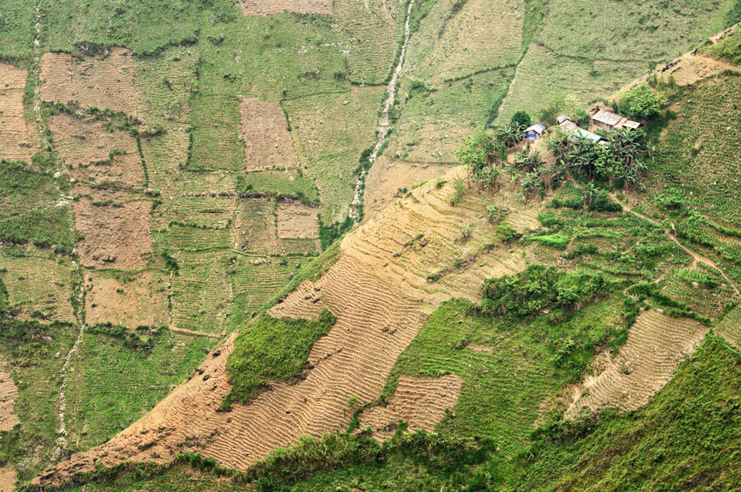 Maisons à flanc de coteau entre Dong Van et Meo Vac, Vietnam