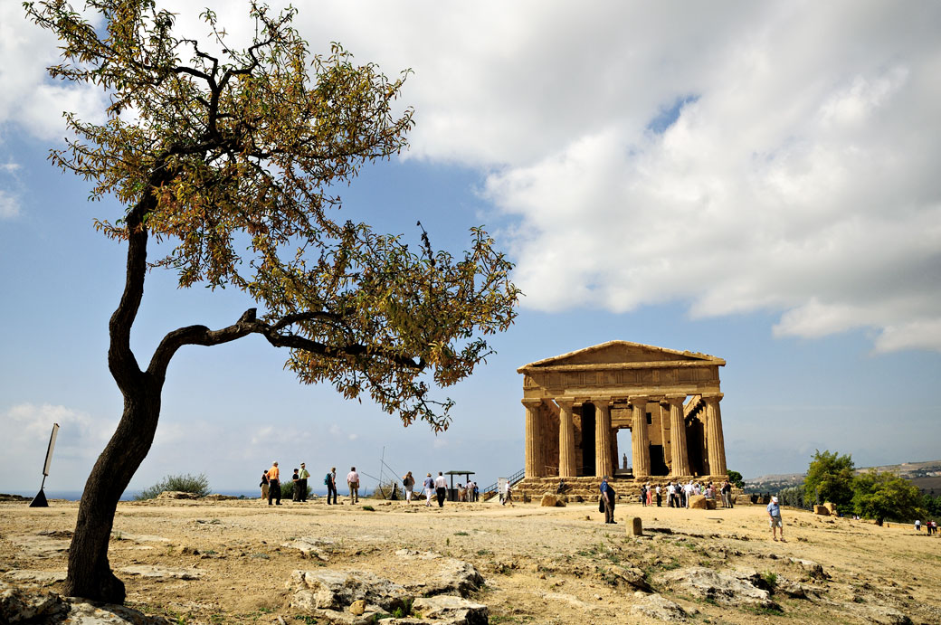 Arbre et temple de la Concorde en Sicile, Italie