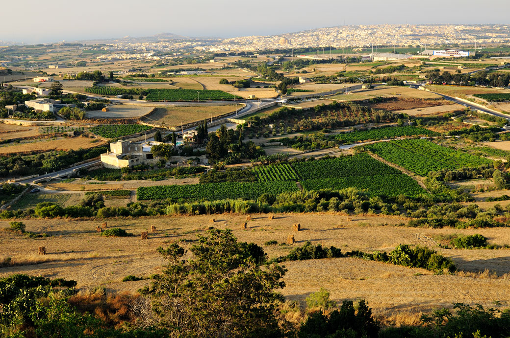 Panorama sur les cultures depuis Mdina, Malte