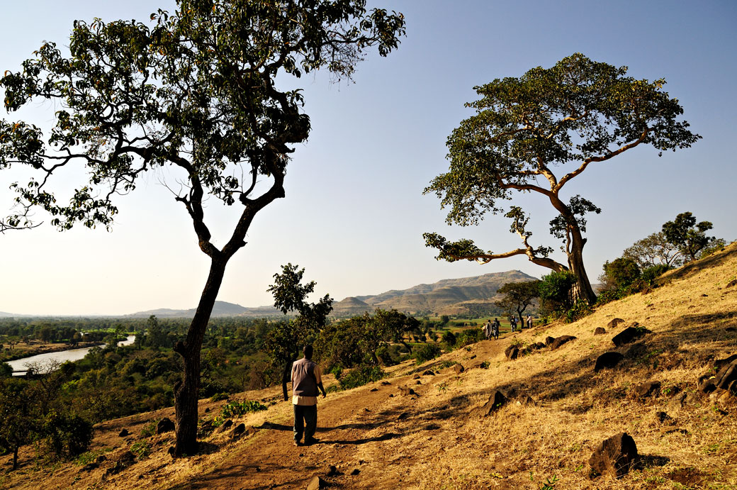 Arbres et sentier menant aux chutes du Nil bleu, Ethiopie