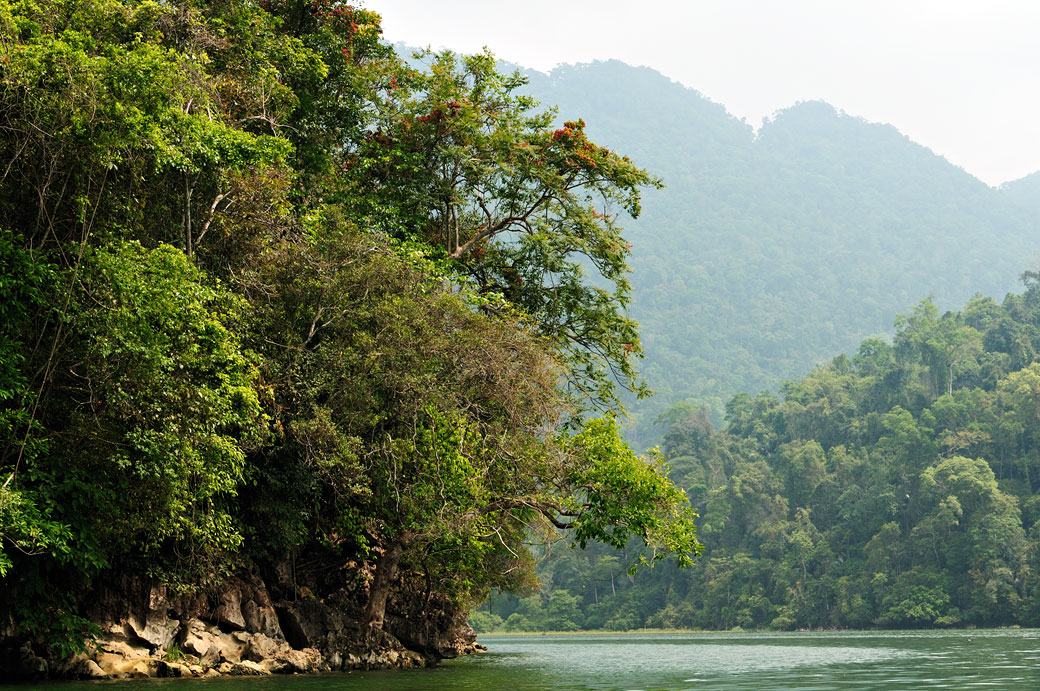 Montagnes et forêt dense au lac de Ba Be, Vietnam