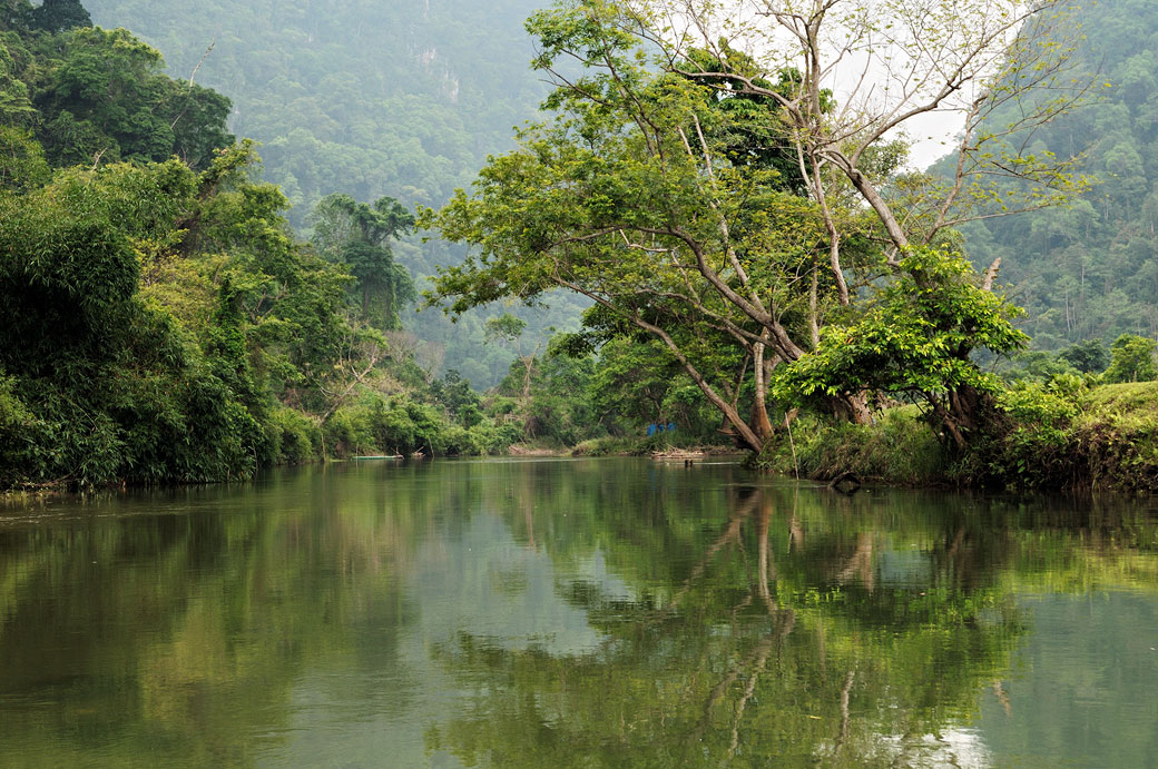 Montagnes et réflexion d'arbres au lac de Ba Be, Vietnam