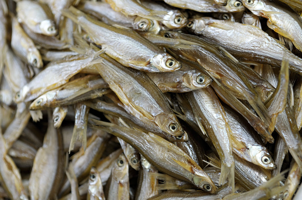 Petits poissons séchés du lac de Ba Be, Vietnam