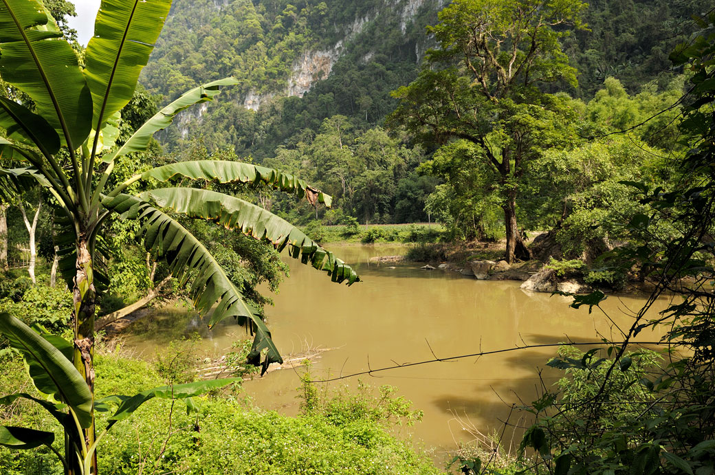 Cours d'eau dans le parc national de Ba Be, Vietnam