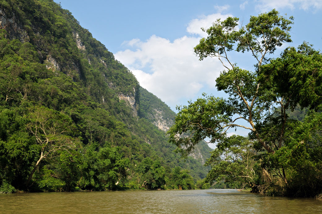 Forêt et rivière dans le parc national de Ba Be, Vietnam