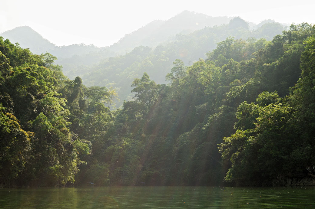 Forêt dense sur les berges du lac de Ba Be, Vietnam