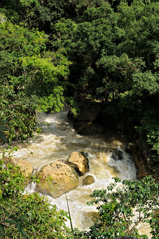 Rivière tumultueuse dans le parc national de Ba Be, Vietnam