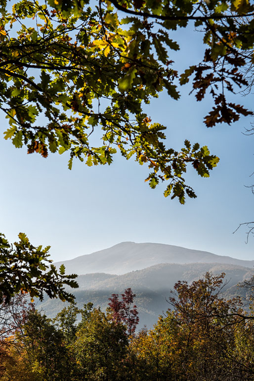 Montagnes de l'Oltrepò pavese en automne, Italie