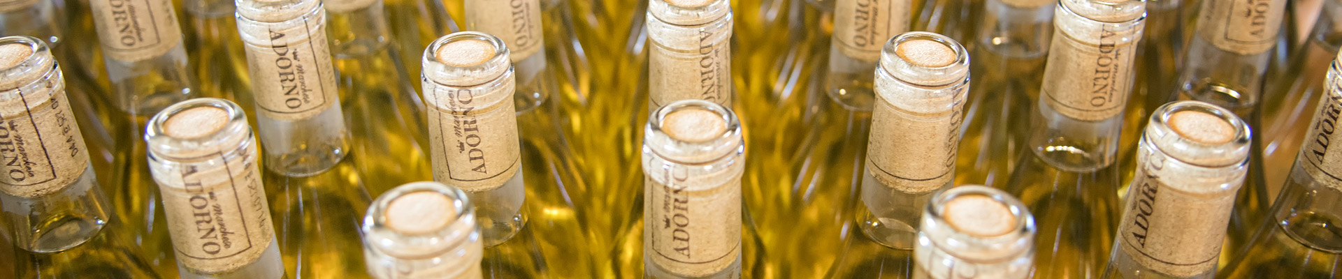 Top image vin blanc Marchese Adorno