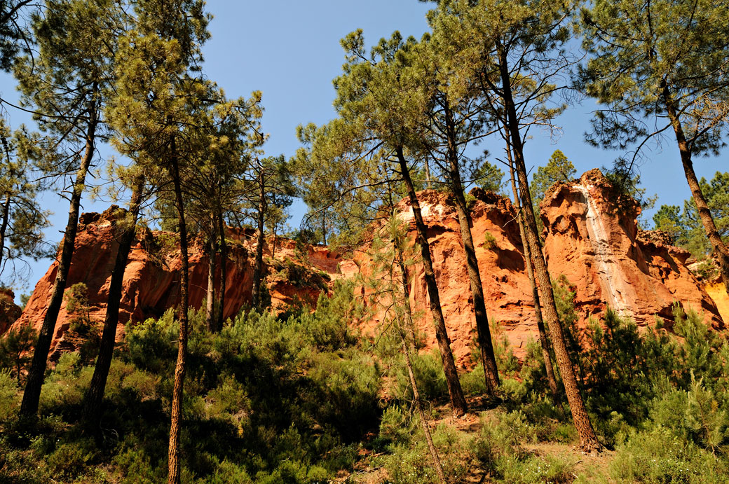 Falaises d'ocres dans une forêt de Roussillon en Luberon, France