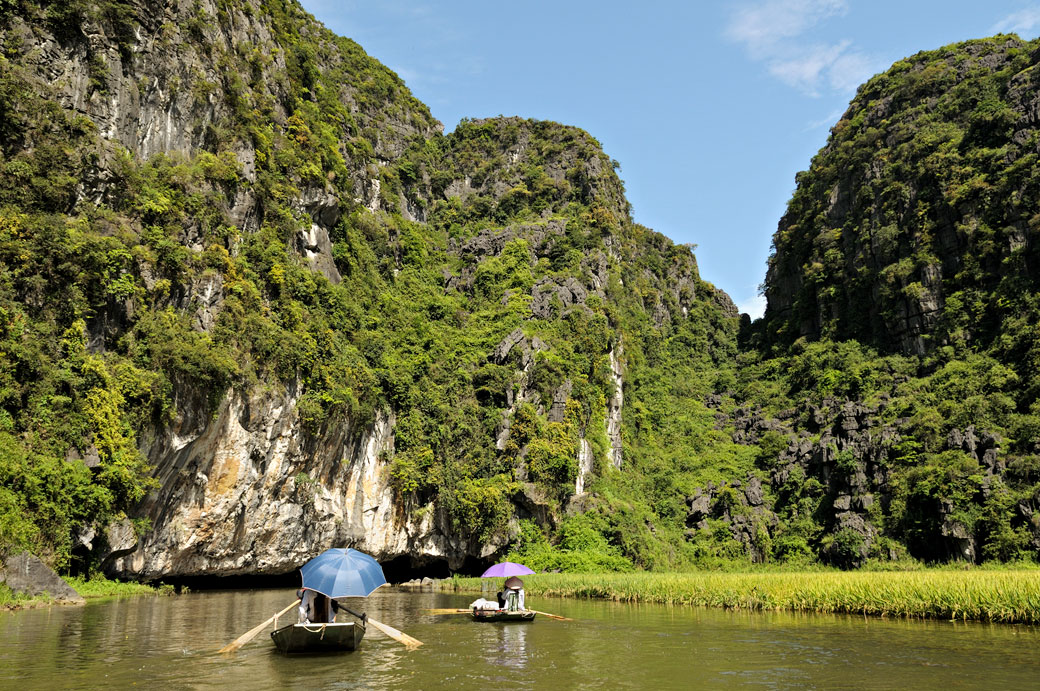 Barques sur la rivière Ngo Dong à Tam Coc, Vietnam