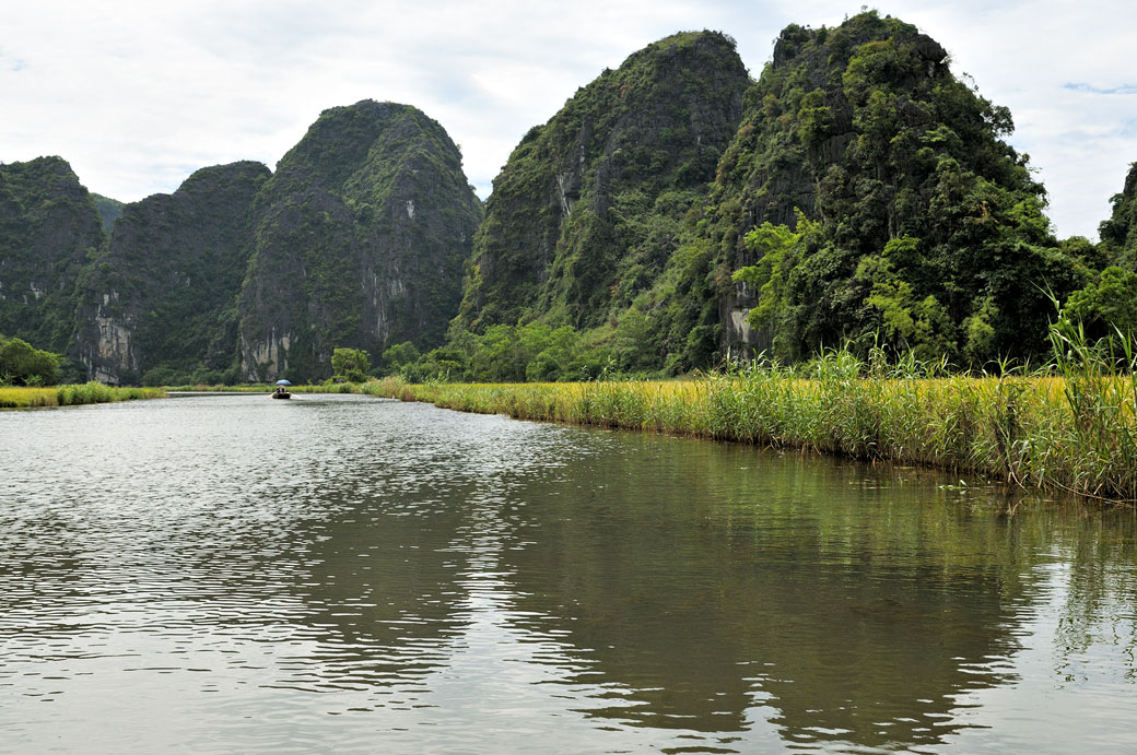 Rivière Ngo Dong et montagnes karstiques à Tam Coc, Vietnam