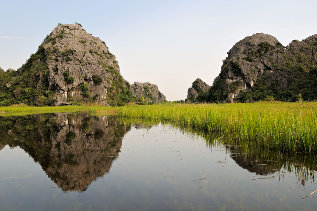 Roseaux et montagnes dans la réserve de Van Long, Vietnam