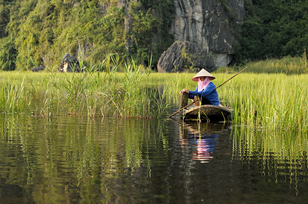 Femme sur une barque dans les roseaux de la réserve de Van Long