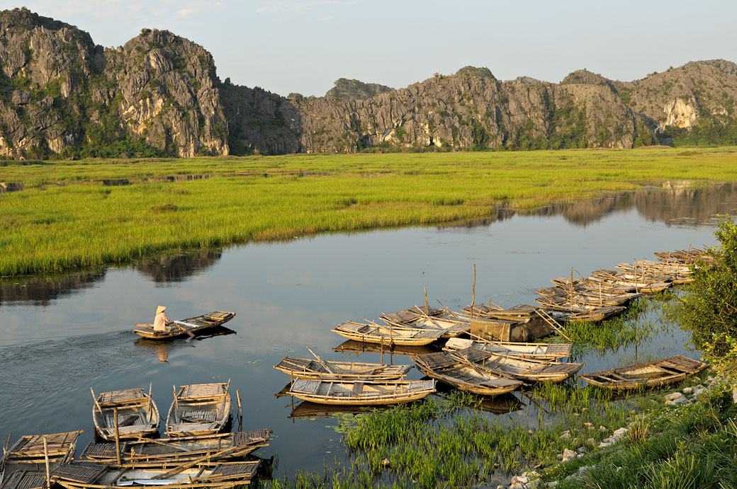 Rameuse et barques dans la réserve de Van Long, Vietnam