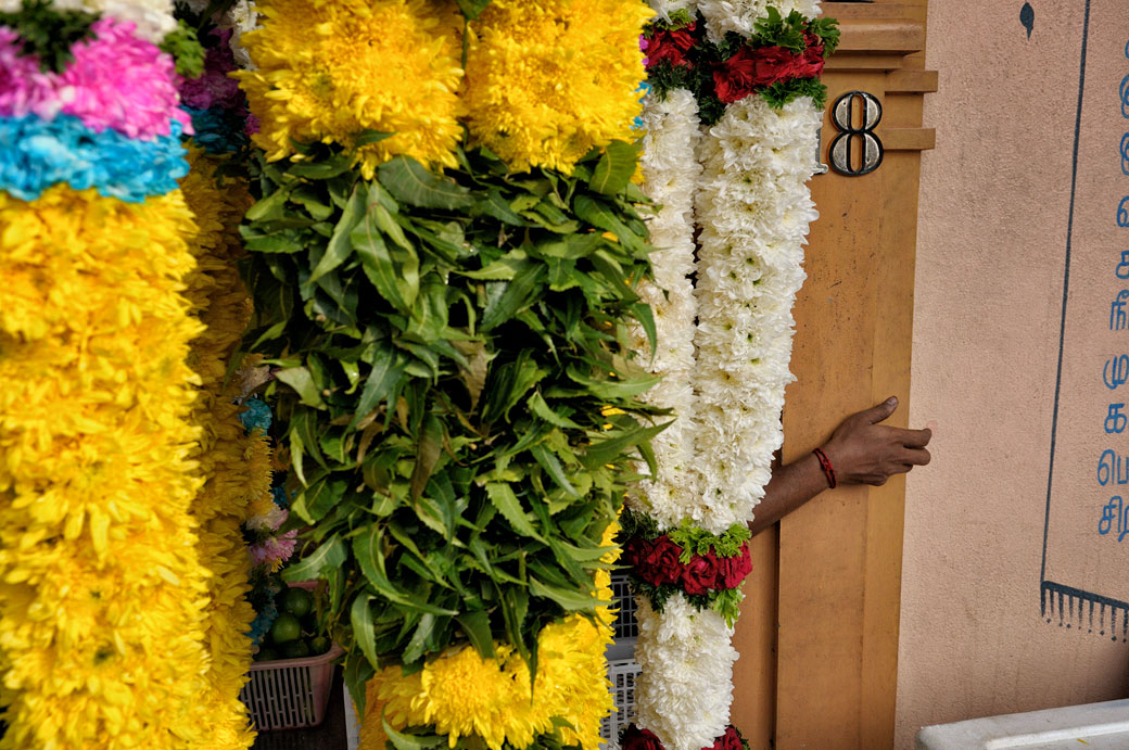 Fleurs et main à Little India à Kuala Lumpur, Malaisie