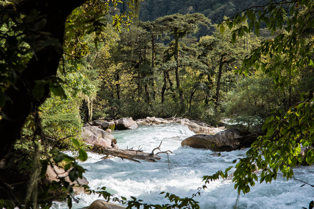 Rivière et forêt entre Shana et Thongo Zampa, Bhoutan