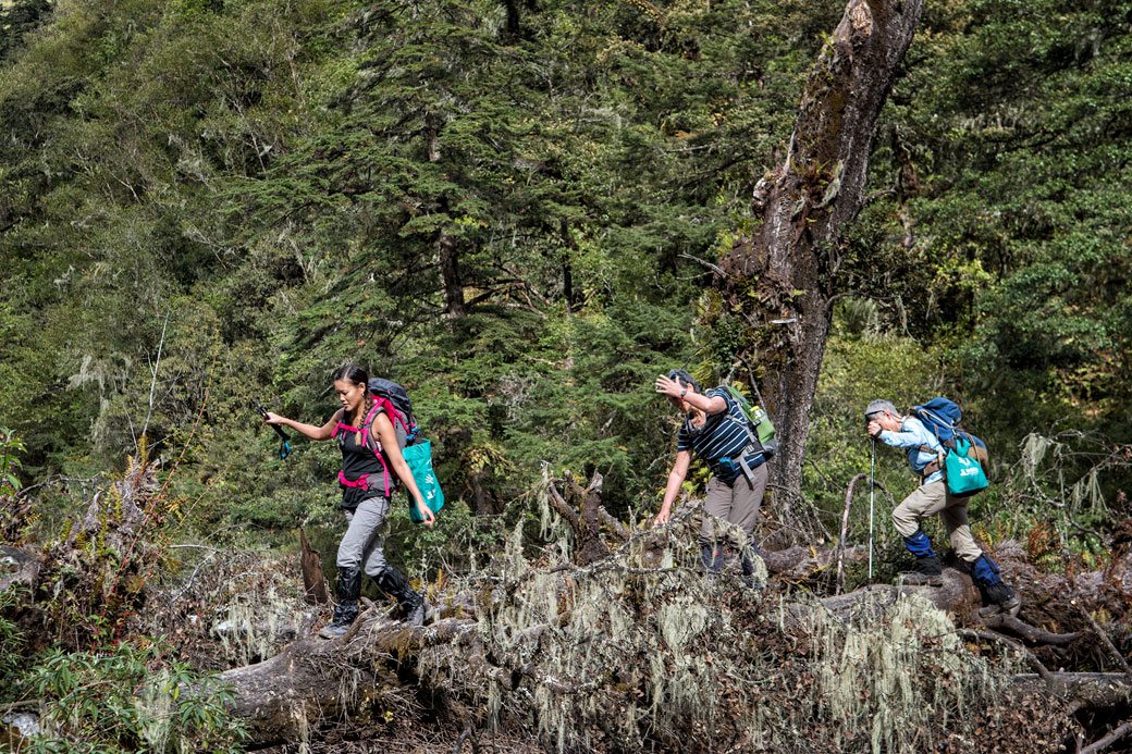 Trekkeuses sur un tronc d'arbre en route pour Thongo Zampa, Bhoutan