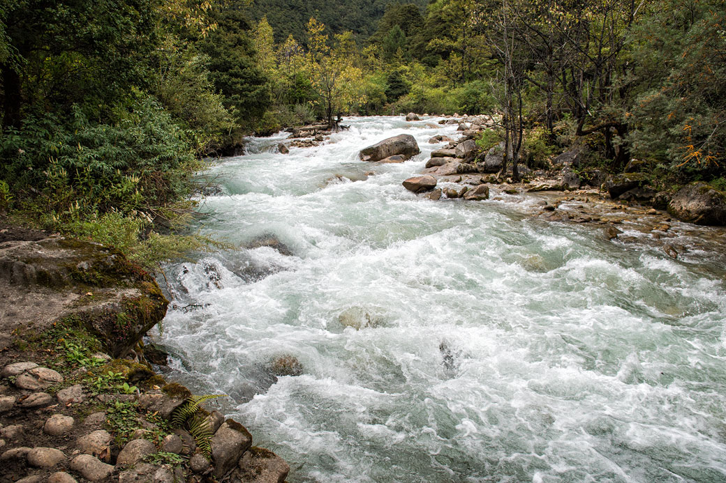 Rivière Paro Chhu entre Shana et Thongo Zampa, Bhoutan