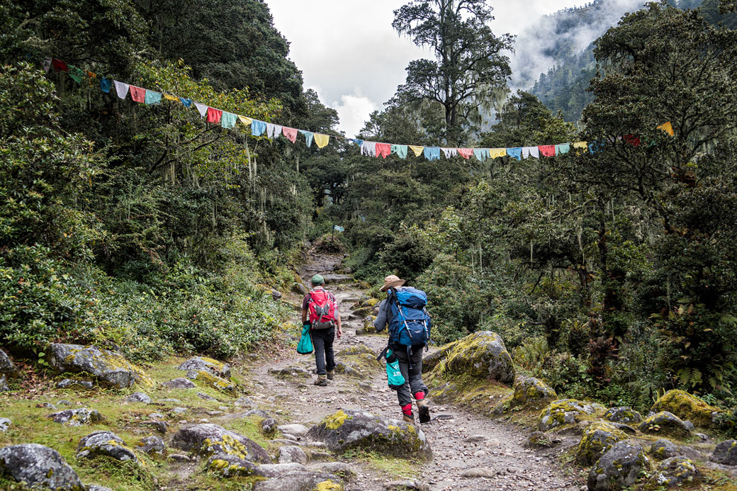 Forêt et drapeaux de prières en route pour Soi Thangthangkha, Bhoutan