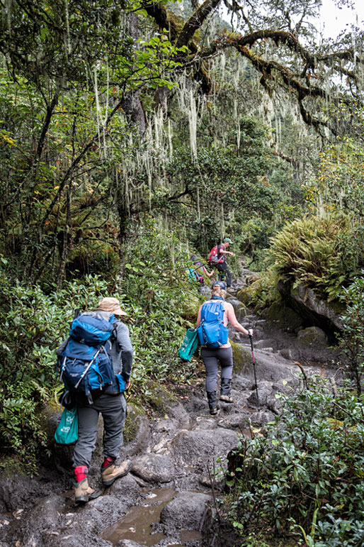 Sentier rocailleux dans la forêt en route pour Soi Thangthangkha, Bhoutan