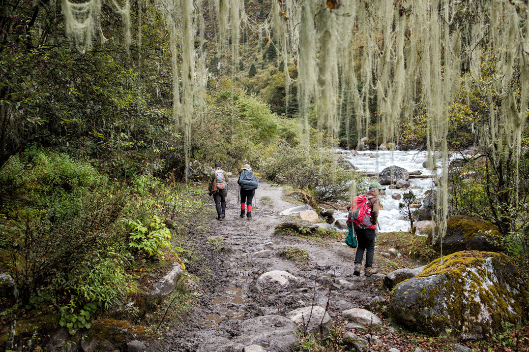 Sentier au bord de la rivière Paro Chhu, Bhoutan