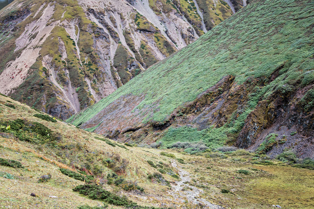 Vallée mystérieuse en route pour Lingshi, Bhoutan