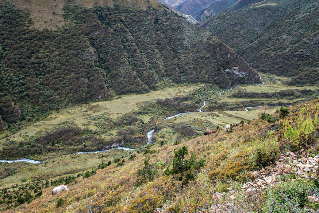 Vallée entre Lingshi et Chebisa, Bhoutan