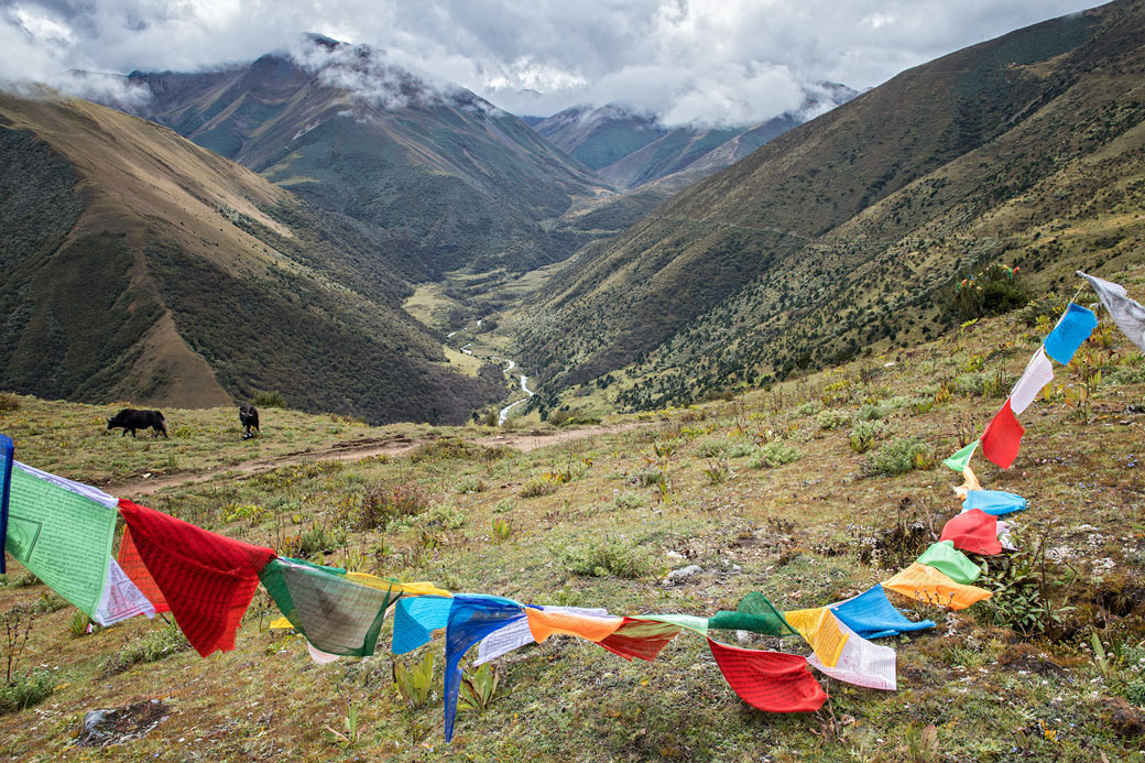 Drapeaux de prières entre Lingshi et Chebisa, Bhoutan