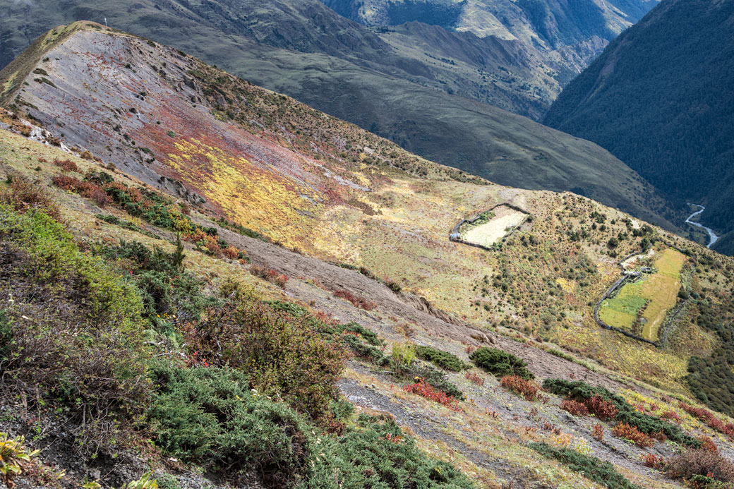 Paysage près du col de Gombu La, Bhoutan