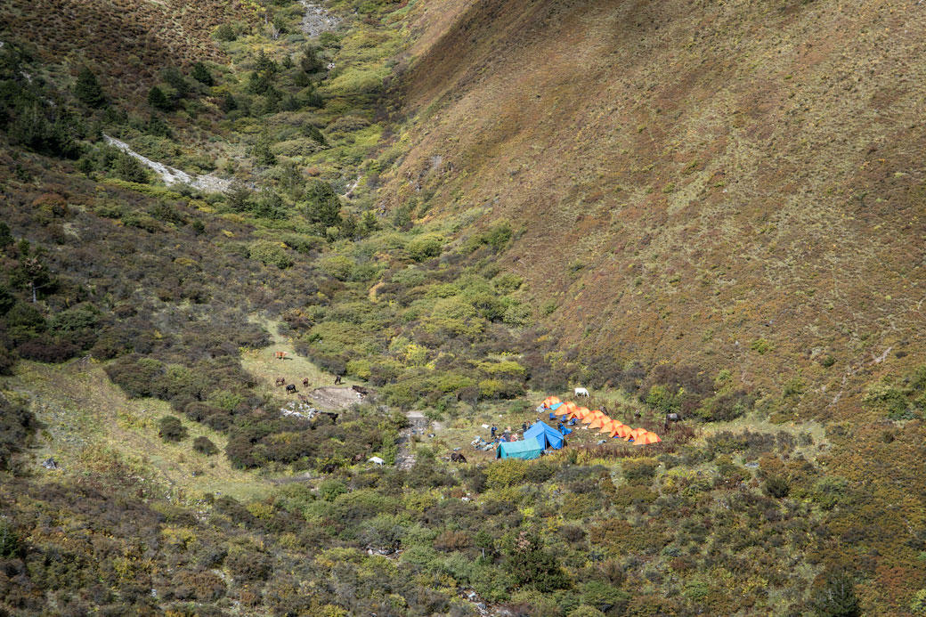 Campement entre Shomuthang et le col de Jare La, Bhoutan