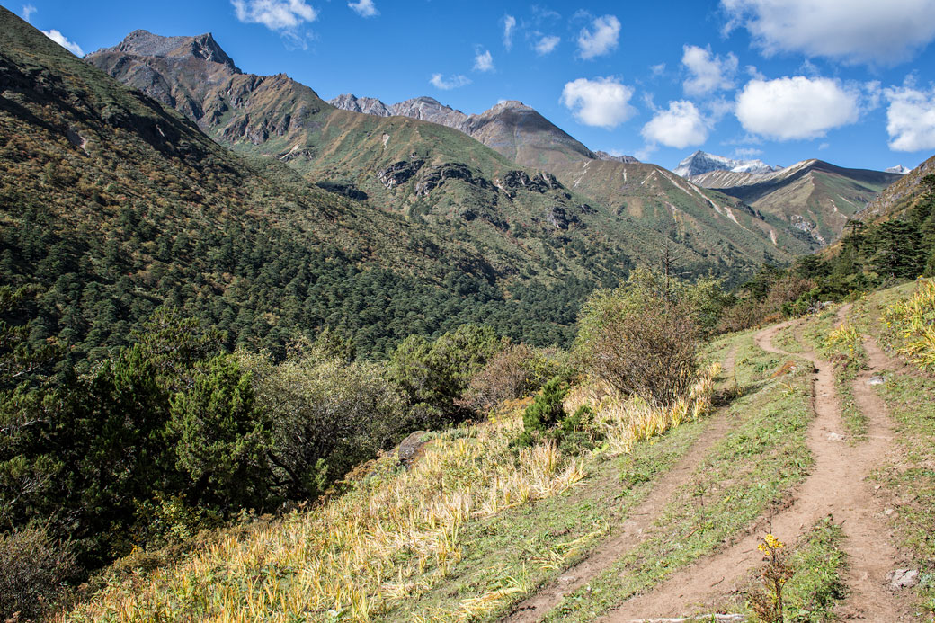 Sentier entre Lemithang et Laya, Bhoutan